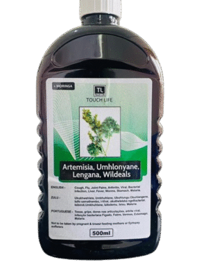 ARTEMISIA, UMHOLOYANE