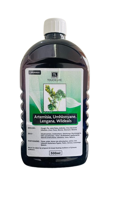 ARTEMISIA, UMHOLOYANE