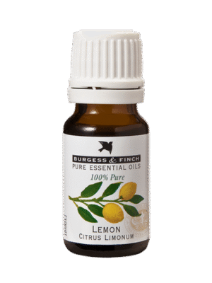LEMON Citrus Limonum