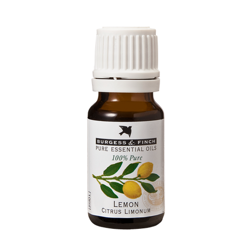 LEMON Citrus Limonum