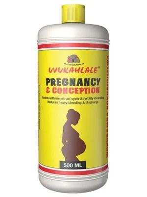 pregnancy e conception 500ml